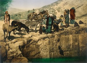 Bedoeïenen vrouwen die water halen, ca. 1880-1900 door Swiss Photographer